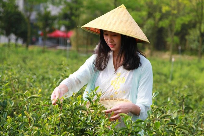 West Lake Longjing Tea Culture One Day Experience Tour